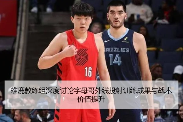 雄鹿教练组深度讨论字母哥外线投射训练成果与战术价值提升